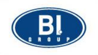 BI Group